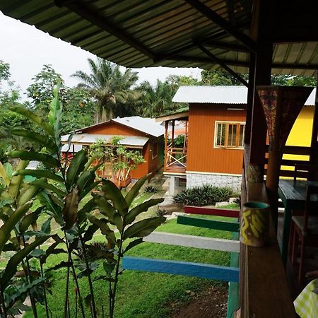 Guest House Quinta Natural Bangalots Graca المظهر الخارجي الصورة