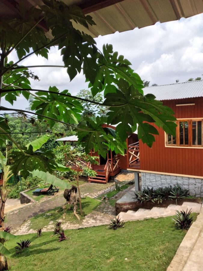 Guest House Quinta Natural Bangalots Graca المظهر الخارجي الصورة