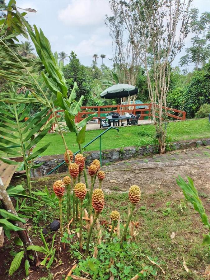 Guest House Quinta Natural Bangalots Graca المظهر الخارجي الصورة