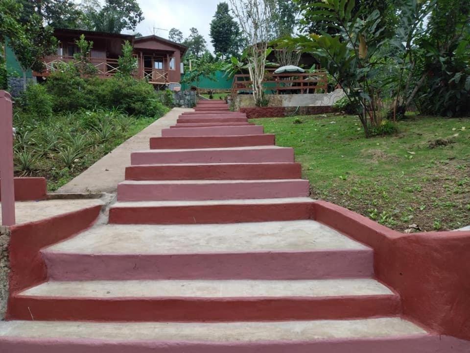 Guest House Quinta Natural Bangalots Graca المظهر الخارجي الصورة