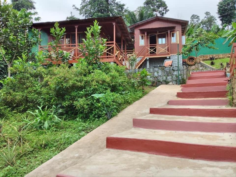 Guest House Quinta Natural Bangalots Graca المظهر الخارجي الصورة