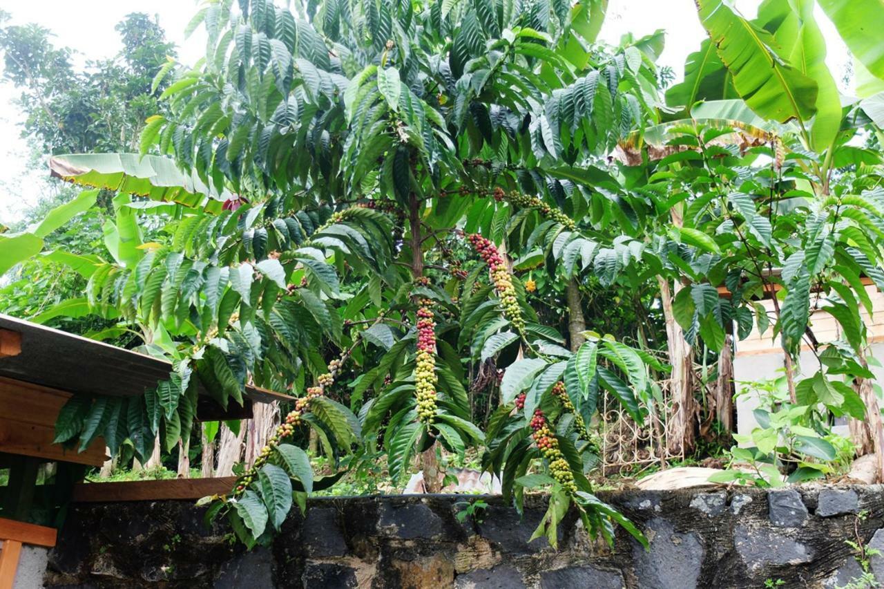 Guest House Quinta Natural Bangalots Graca المظهر الخارجي الصورة