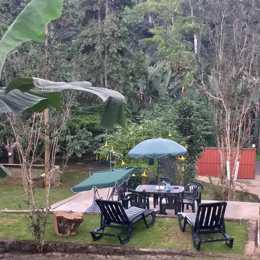Guest House Quinta Natural Bangalots Graca المظهر الخارجي الصورة