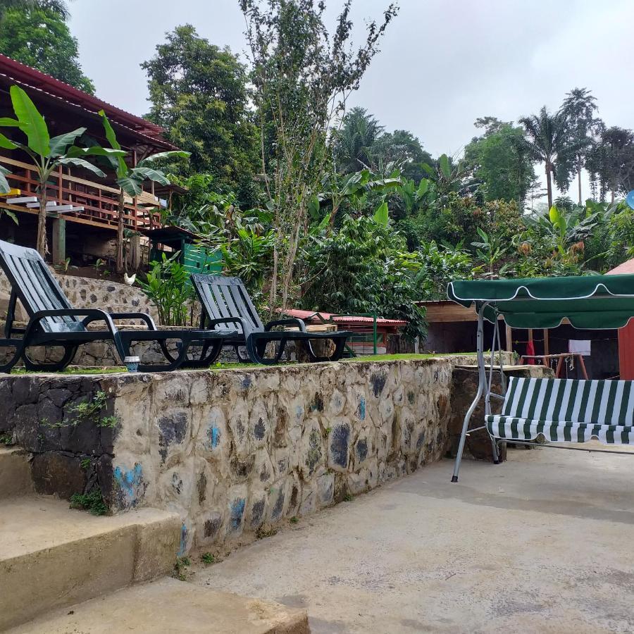 Guest House Quinta Natural Bangalots Graca المظهر الخارجي الصورة