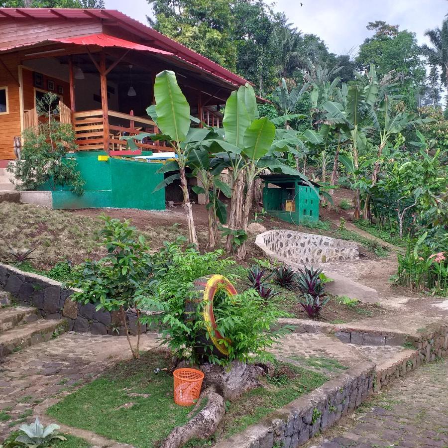 Guest House Quinta Natural Bangalots Graca المظهر الخارجي الصورة