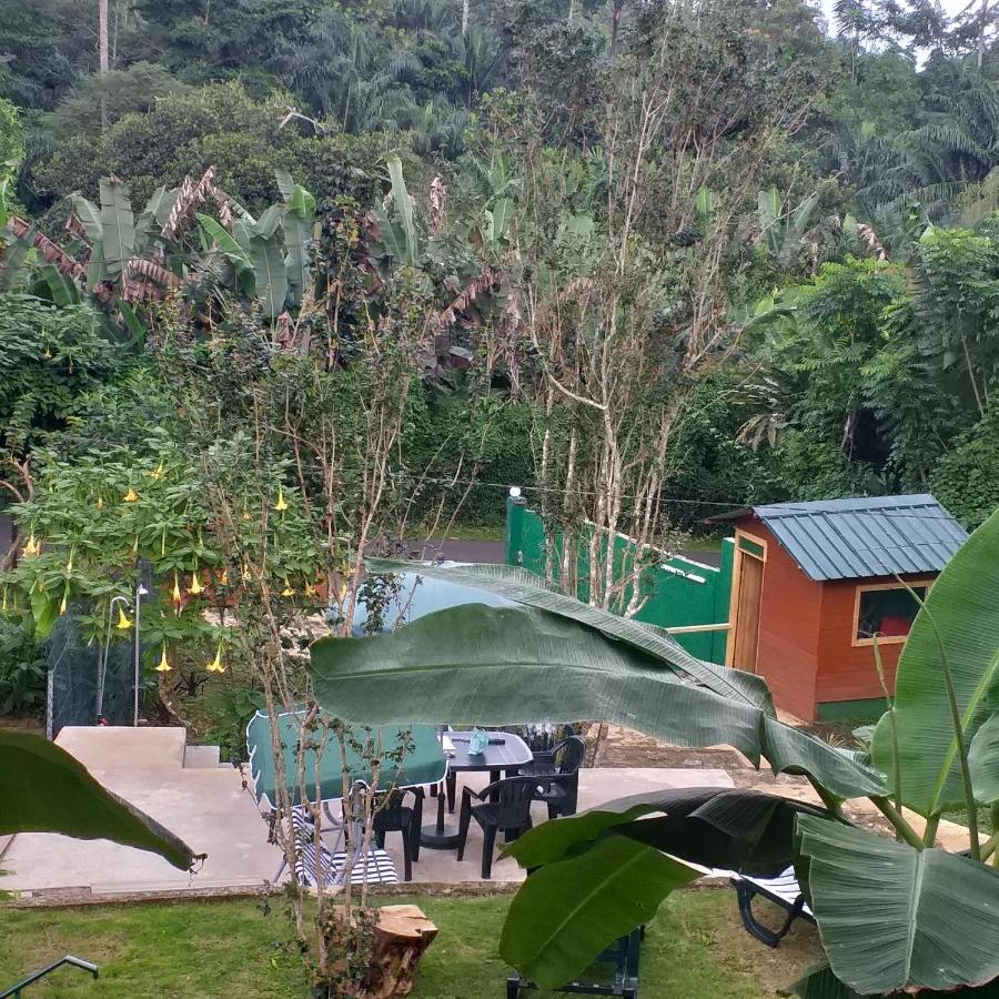 Guest House Quinta Natural Bangalots Graca المظهر الخارجي الصورة