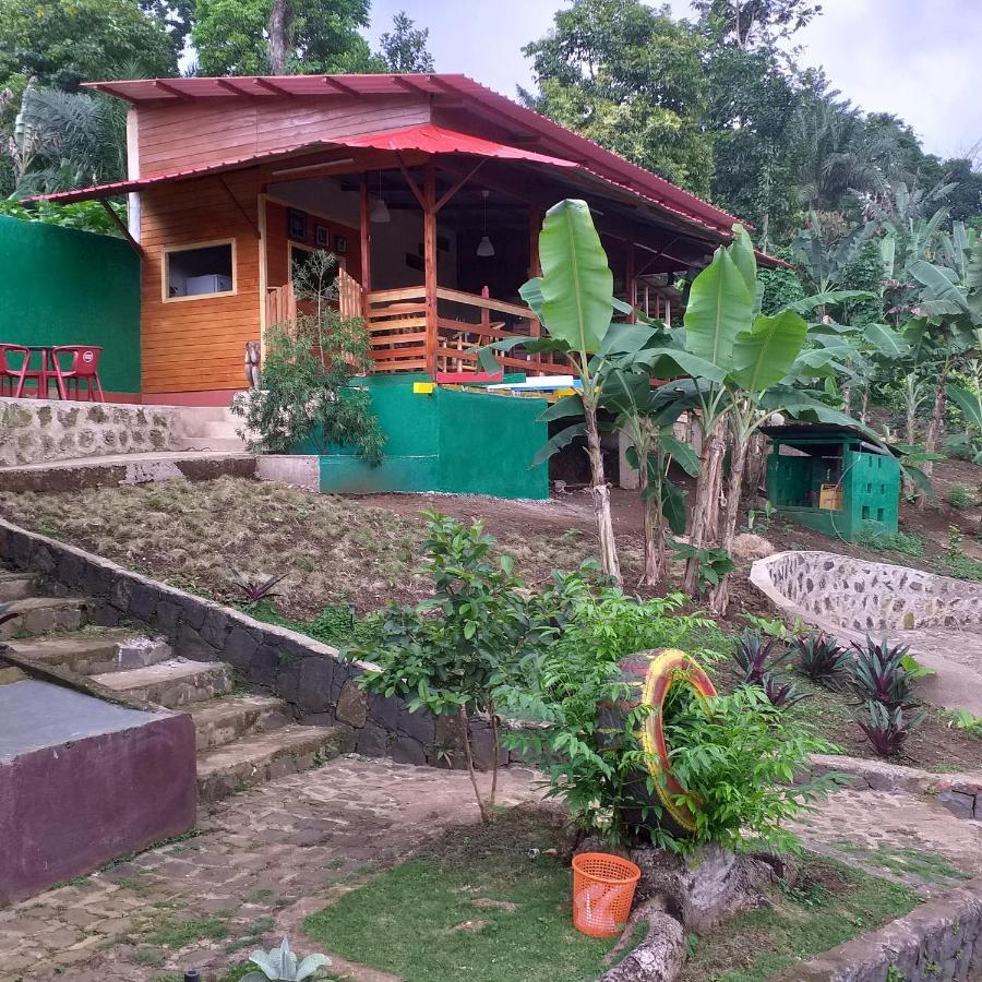 Guest House Quinta Natural Bangalots Graca المظهر الخارجي الصورة
