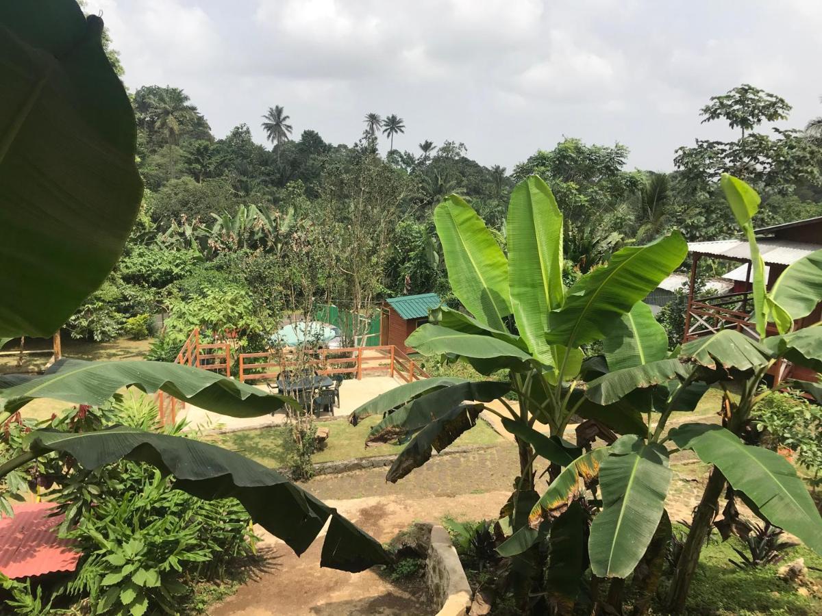 Guest House Quinta Natural Bangalots Graca المظهر الخارجي الصورة