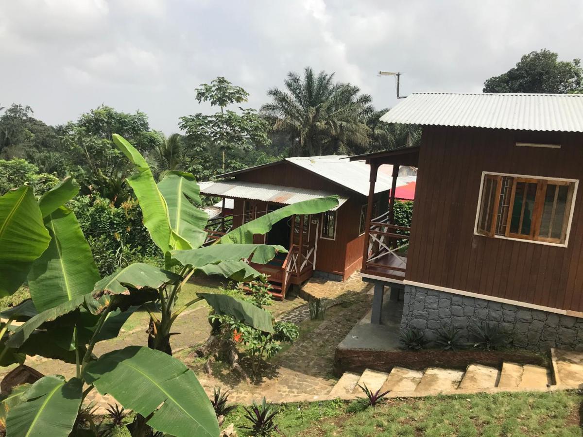 Guest House Quinta Natural Bangalots Graca المظهر الخارجي الصورة